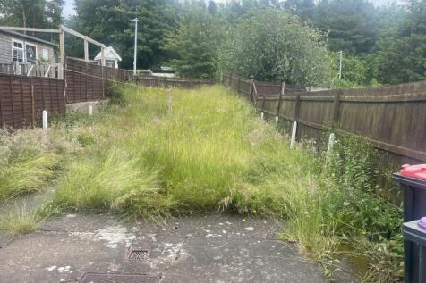 IMG 6772 T202606180945.jpeg