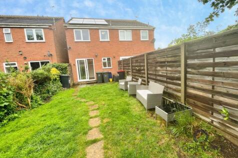 Back Garden