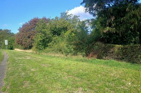 Front Garden.jpg