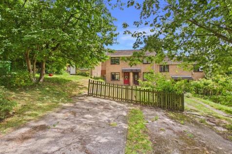 Front/Driveway