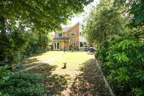 Property Image 16