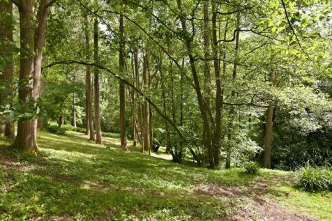 Property Image 34
