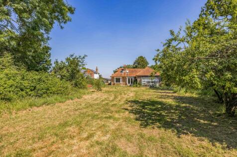 20240628125650396_original [132114551].jpg