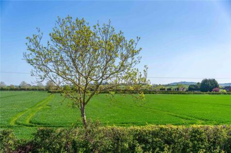 Countryside Views