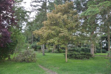 Property Image 26