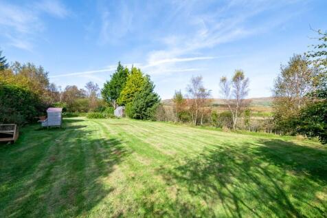 Back Garden