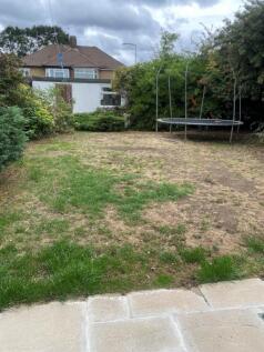 garden 1.jpg