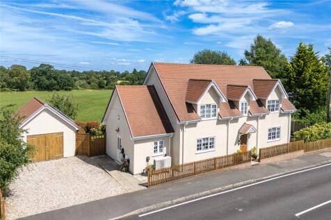Picture No. 41