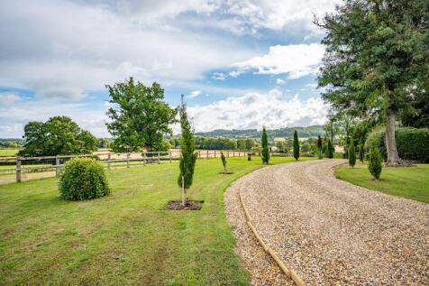 Driveway and Garden