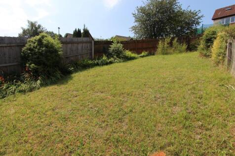 14 dan yr ardd garden.jpg