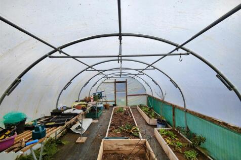 Polytunnel