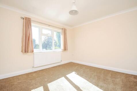 Picture No. 16