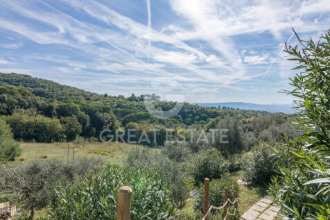 Panorama e Particolari