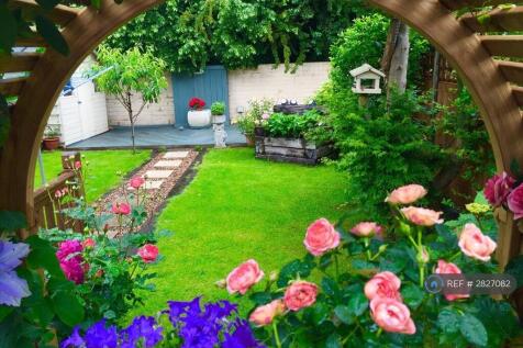 Garden In Summer