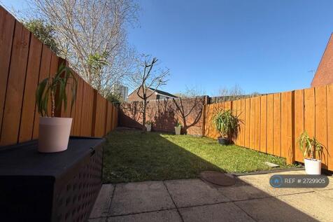 Back Garden