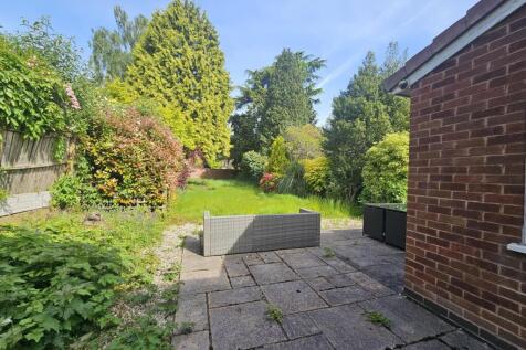 Back garden 2.jpeg