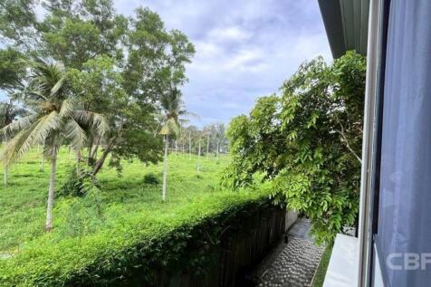 View from terrace