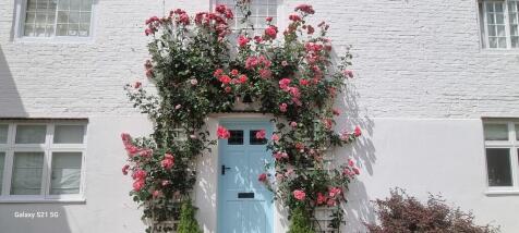 Roses