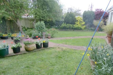 garden3.jpg