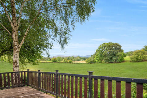 Decking Area