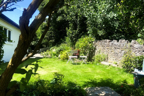 Vendor Garden Pic...