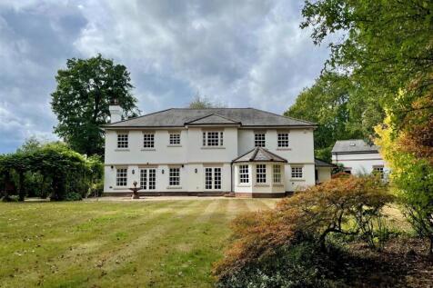 Rear of Property