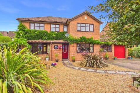 Property Image 37