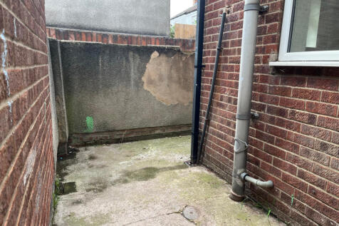 38 Lorraine Street yard