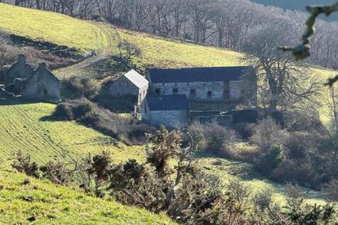 Frongoch - ae yard 1.jpg