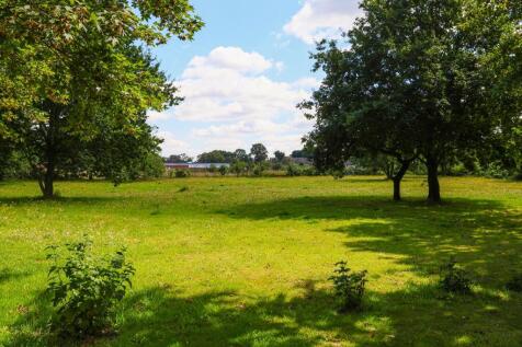 Communal grounds