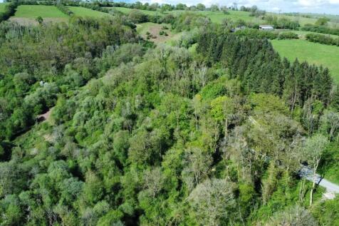 dji_fly_20260507_163852_523_1778168421564_photo_op
