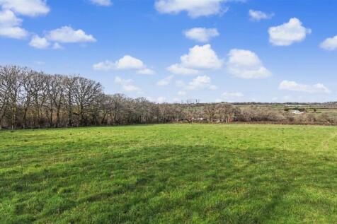 Grassland