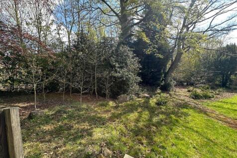 Farm Land for sale Image 3