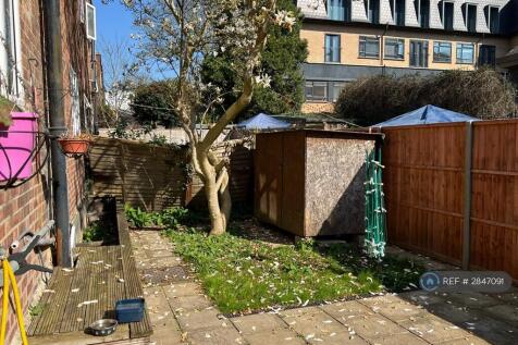 Back Garden
