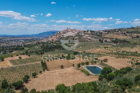 Panorama e Particolari