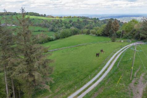 DJI_0198.jpg