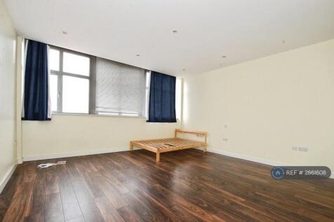 Living Room/Bedroom