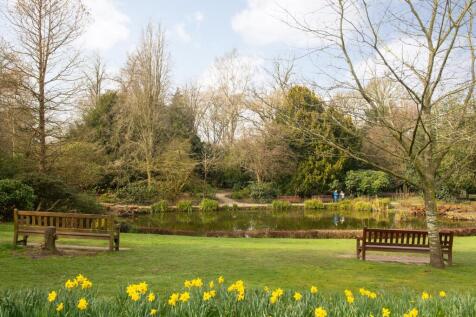 Daresbury Spring
