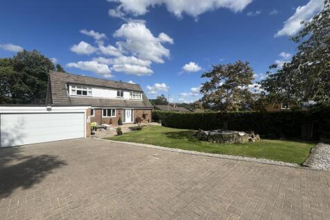 Gardens &amp; Driveway