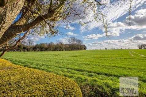Field Views