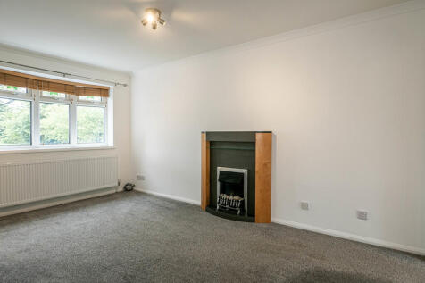 Campion Road, Woodville photo 3