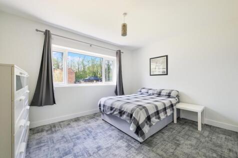 THE ORCHARD,  (16).jpg