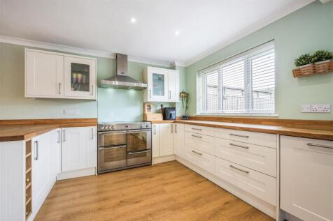 sketch_Ph24_6512827 copy.jpg