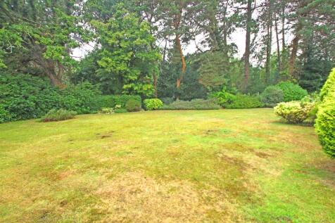 Garden.jpg