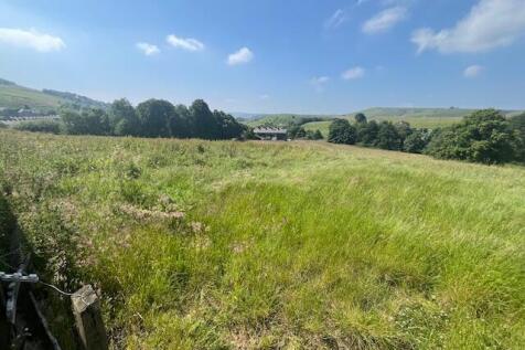 Image007 T202407151224.jpg