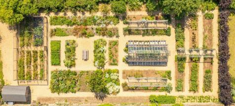 The Vegetable Garden