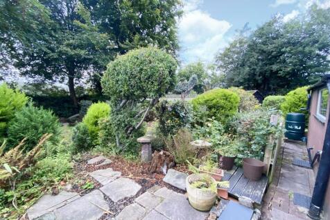 garden 1.jpg