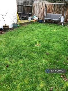Shared Garden