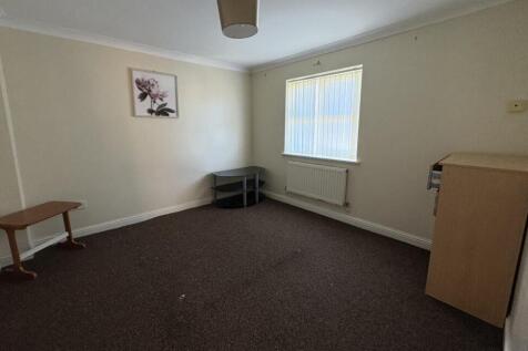 IMG 0615  Medium  T202603181405.jpg