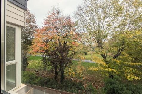 IMG-20251031-WA00...